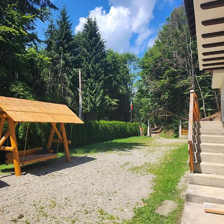 Cabana Valea Bradului Nucşoara エクステリア 写真