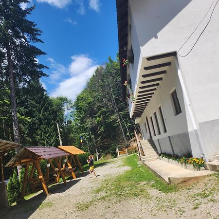 Cabana Valea Bradului Nucşoara エクステリア 写真