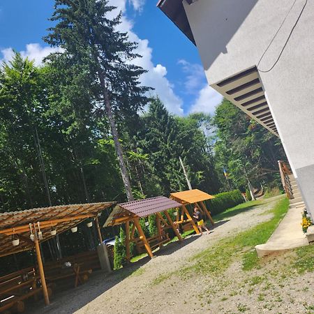 Cabana Valea Bradului Nucşoara エクステリア 写真