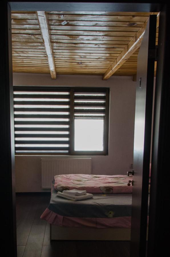 Cabana Valea Bradului Nucşoara エクステリア 写真