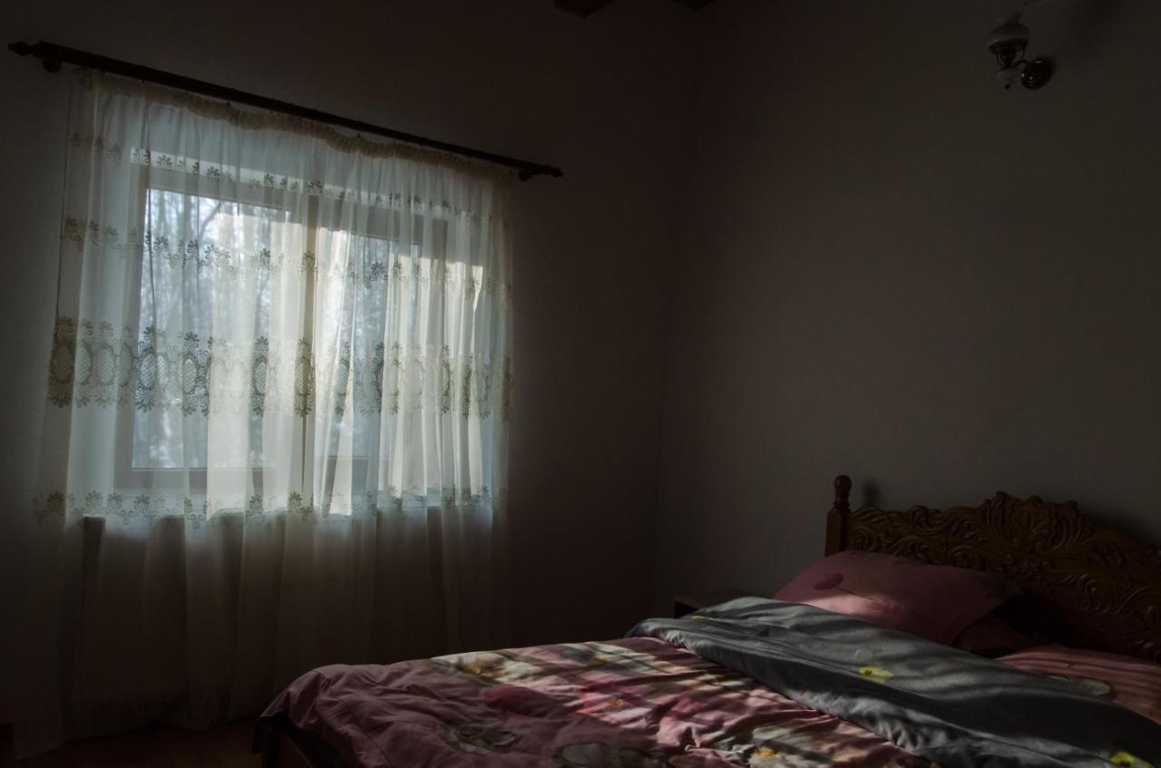 Cabana Valea Bradului Nucşoara エクステリア 写真