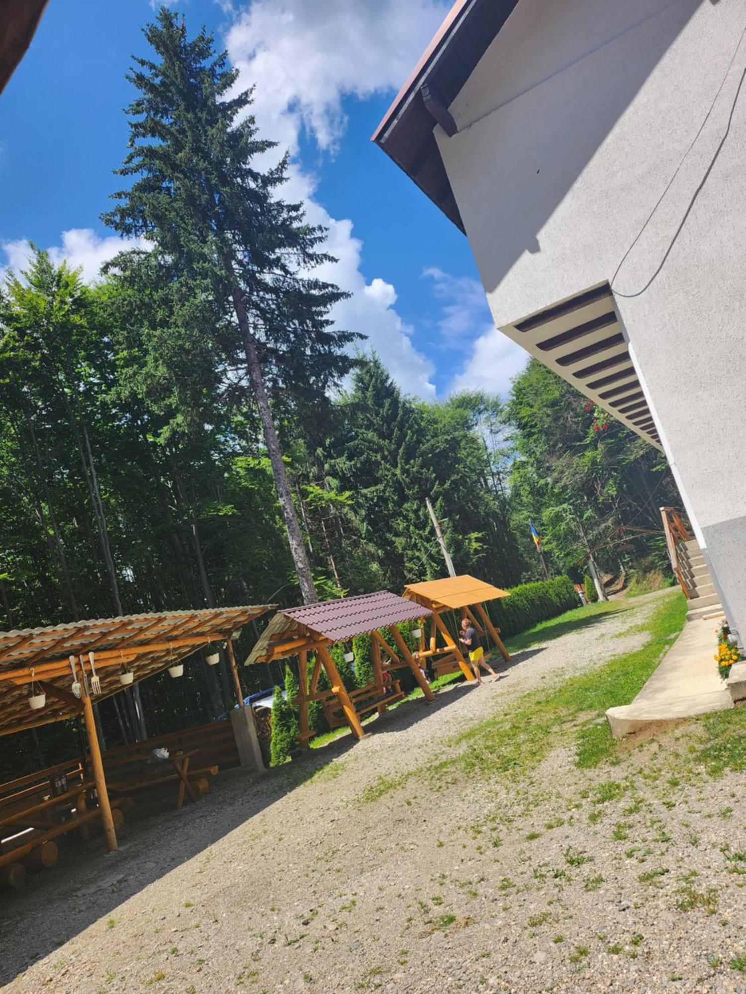 Cabana Valea Bradului Nucşoara エクステリア 写真
